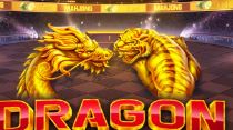 (Top 15) dragon vs tiger online games 2024
